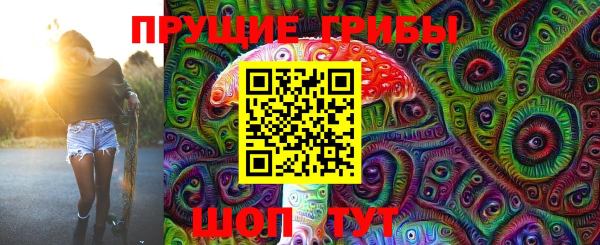 Псилоцибиновые грибы Psilocybe  Вход с VPN  Артём 